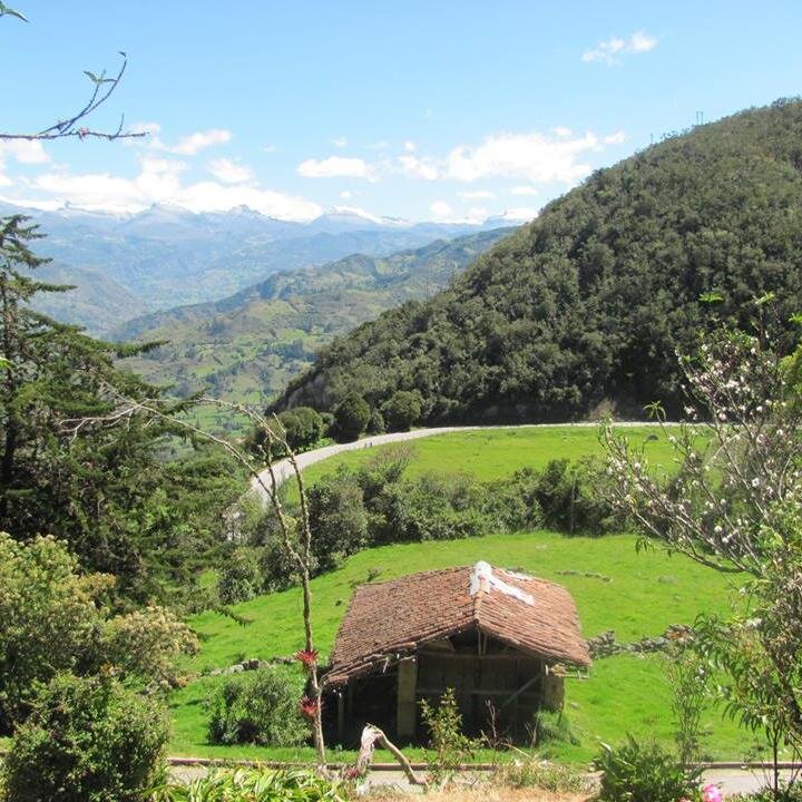 AlbaYaneth8a's profile picture. EL AMOR ES LA ÚNICA FUERZA CAPAZ DE TRANSFORMAR A UN ENEMIGO EN AMIGO.