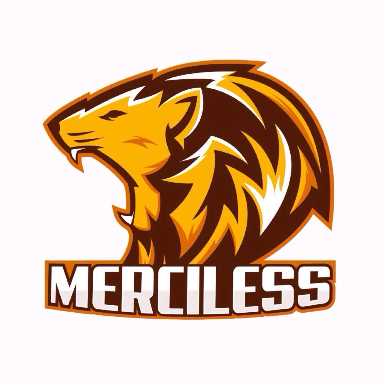 Professional eSports team affiliated and representing @MerciLess_Pro. Proudly sponsored by @CinchGaming @NoScopeGlasses @AM_2_Pro