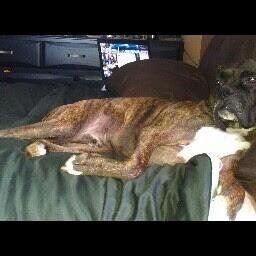 seann4parts's profile picture. 