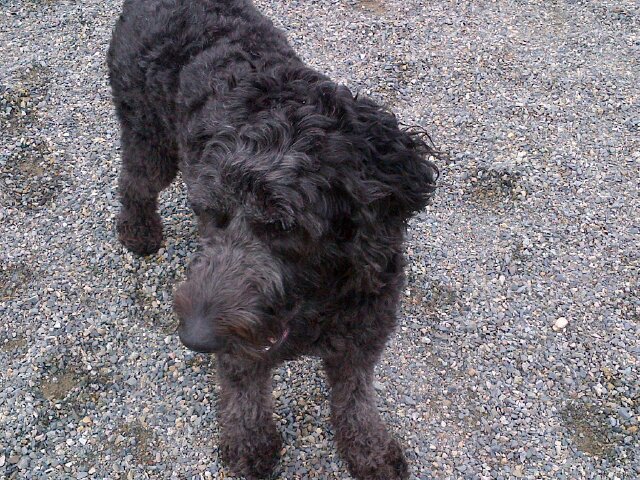 pseo27's profile picture. 