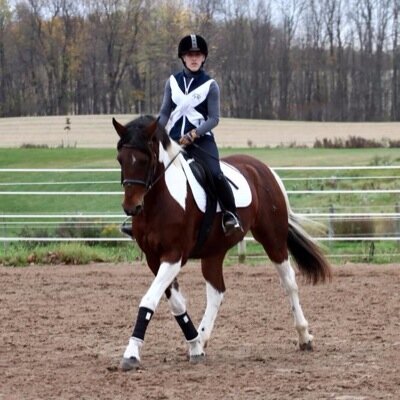 MandieFrank's profile picture. • Dressage •