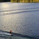 simonbaenaP's profile picture. 