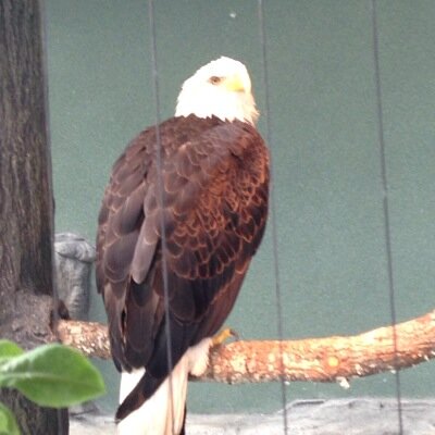 Tmcnamee13's profile picture. 