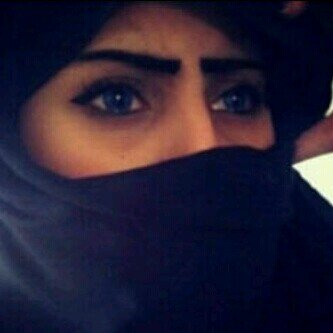 shamayel2310's profile picture. 