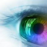 febboc's profile picture. 