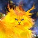 Ariel Pezoa - @apezoap - Twitter