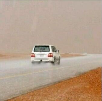 انا لامشيت امشي دروب الوفا والطيب
ولا احـب . . دربن فييہ الانذال دوواجہ
ورزقي على اللي يعلم الخافيه والغيب
عسى اللہ يفرج ضيقة الصدر والحاجہ
 0557868300