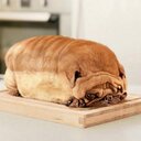 Ben Rist - @benrist14 - Twitter