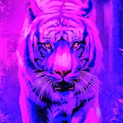 Alow55Ali's profile picture. 