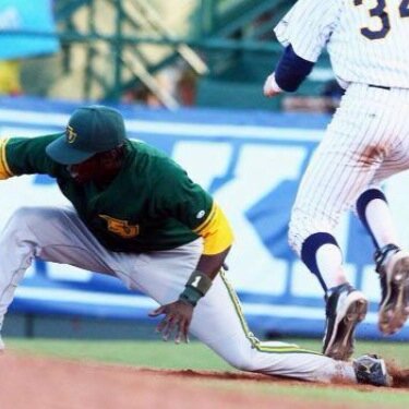 San Jac Baseball