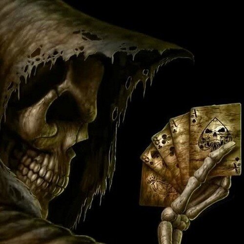 diegoay36240582's profile picture. 