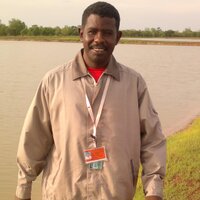 محمد الطيب عبد الله (@azifalawtar) 's Twitter Profile