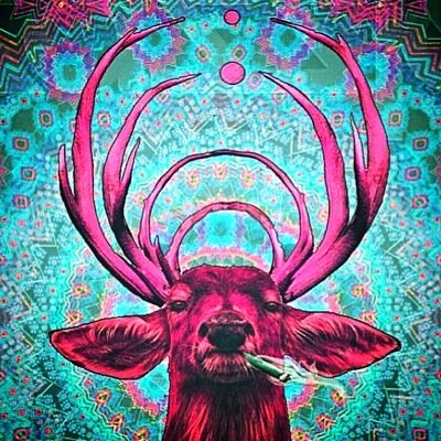 BUSSTAS's profile picture. 