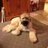 pitt840's profile image