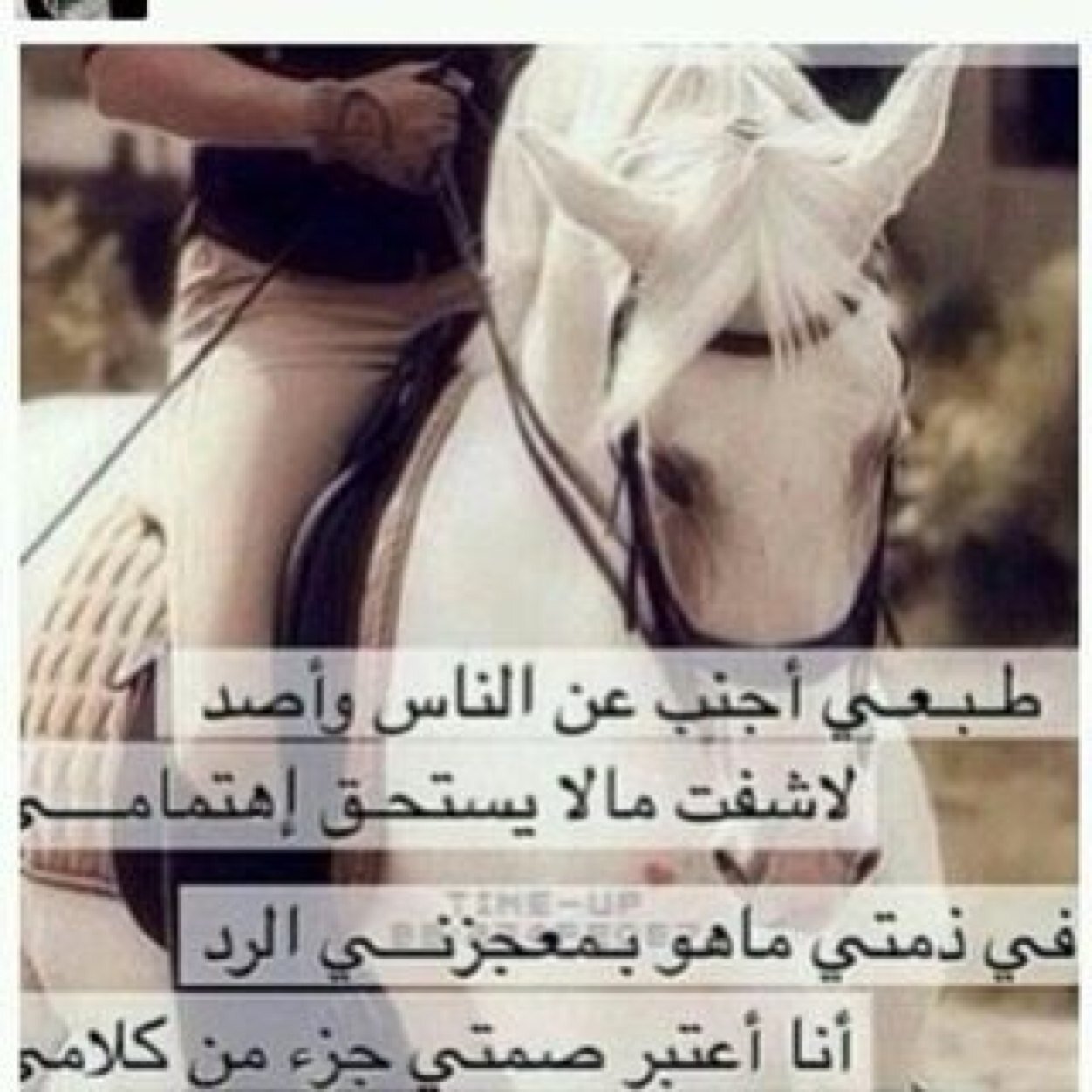 alooot11's profile picture. من العيب أن تفتخر بشيء لم تصنعه! فلا تفتخر بجمالك لانك لم تخلقه، ولا تفتخر بنسبك لأنك لم تختاره، إنما افتخر بأخلاقك فأنت من يصنعها