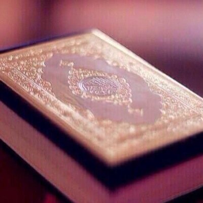 تم الأختراق قائد #جيش_عمر @FC7O