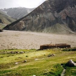 fluff__fluff's profile picture. -- heeellooo --