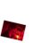 ShaRk_AsH's profile image