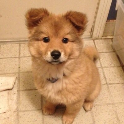 KounoKa's profile picture. 