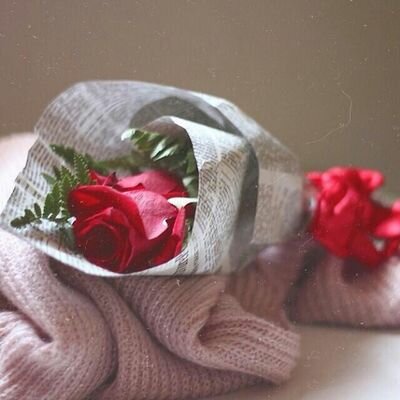 a12345682372427's profile picture. ‏‏‫لآ ﺷَﻲْﺀَ ﻳَﺴْﺘَﺤِﻖ ﺍﻟْﻌﻨَﺎﺀ ،
 ﺇﻫﺘﻢ ﺑِﻤَﻦْ ﻳَﻬْﺘَﻢ ﺑِﻚ ، ﻭَﺍِﺭْﺣَﻞْ ﻋِﻤْﻦَ ﺭِﺣَﻞَ ﻋَﻨْﻚِ ، ﻭَﻋَﺎﻣِﻞَ ﻛَﻤَﺎ ﺗُﻌَﺎﻣِﻞُ ، ﻭﺇﻧﺘﻬﻰ آﻷﻣﺮ!‬