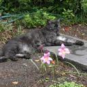 Calvin - @CalvinMiles - Twitter