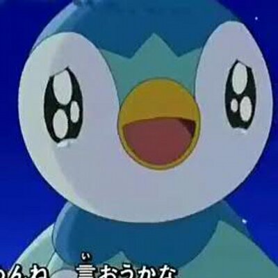 Kozaetsu Pocha ポッチャマのアイコンはポケモンアニメdpエンディングテーマ あしたはきっと からです Anipoke Pokemon ポッチャマ