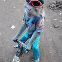 Gemma Bond - @gemmabond100 - Twitter