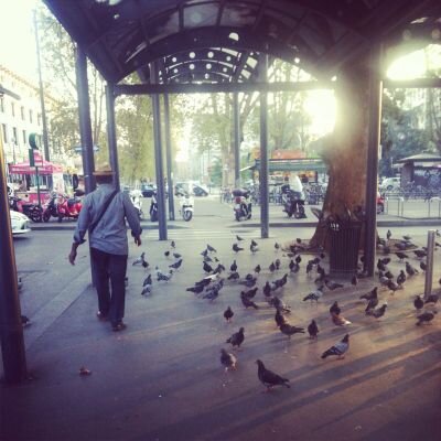 Saud9009's profile picture. ‏‏‏‏‏‏‏‏يظل الرجل طفلاً , حتى تموت أمه , فإذا ماتت ، شاخ فجأة 