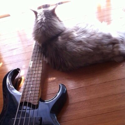 ガー。さんのプロフィール画像