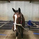 Wayne Gowland - @gowland_ - Twitter