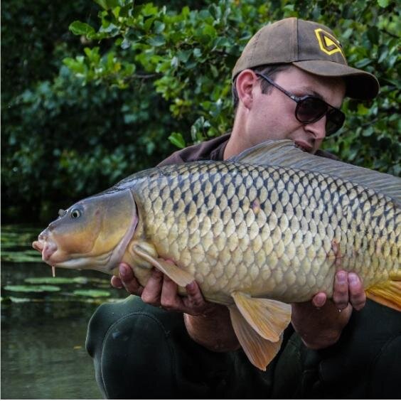 BenoitCorbet's profile picture. Consultant chez Euro Carpe