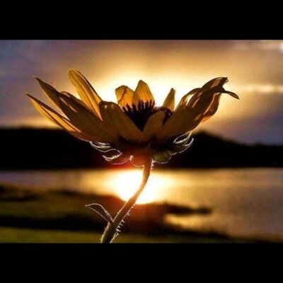 jackieadoyle's profile picture. 