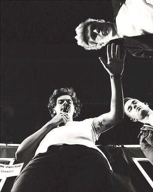 FOLLOW @fakenixllhoran AND ILL FOLLOW YOU IN THIS ACCOUNT. LIARS WILL BE UNFOLLOWED ~ :D