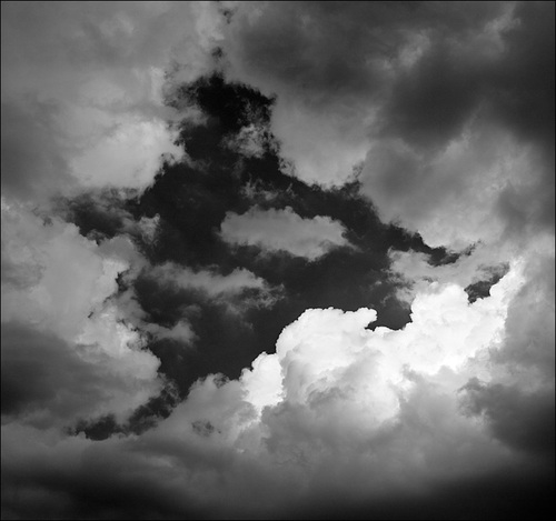 themrvoltz's profile picture. 