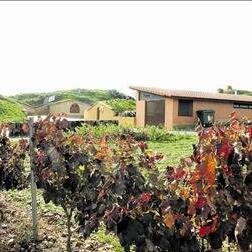 MuseoVino's profile picture. 