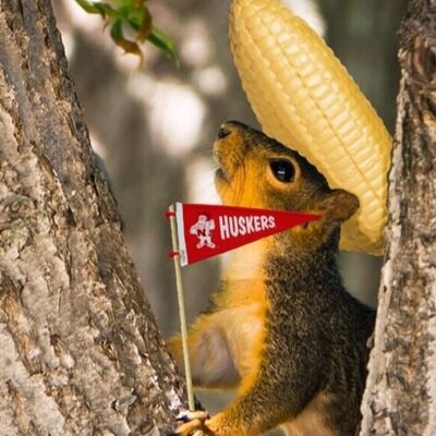 We are squirrels. We do squirrel things. #HuskerSquirrels #GBR