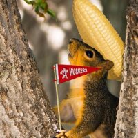 UNL Campus Squirrels (@huskersquirrels) 's Twitter Profile