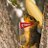 HuskerSquirrels's profile image
