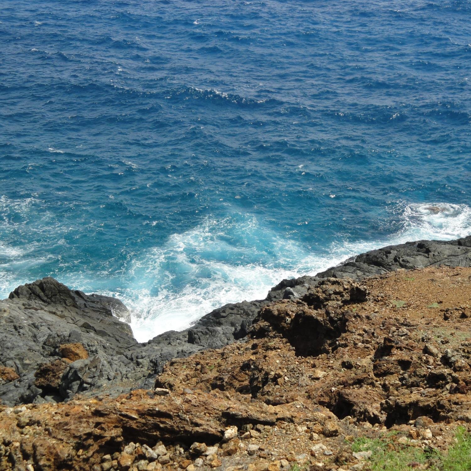 teege29's profile picture. Twitter lurker, news junkie, fitness enthusiast, and book lover