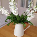 Virginia Barrett - @BarrettVirginia - Twitter