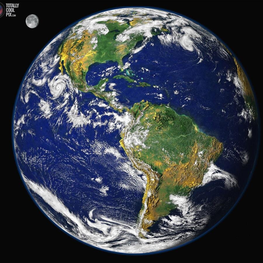 riconet's profile picture. 