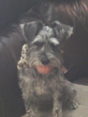 Animal rights!!! I probably like my dog than you. I only follow smart or unique people. I live in H.S. Ark. 71913