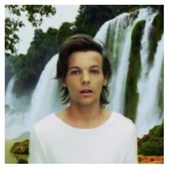 free follow from @honestylouis