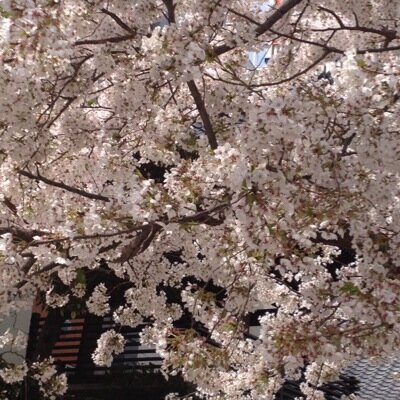 てつや
