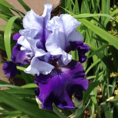 saraclarkrose's profile picture. 