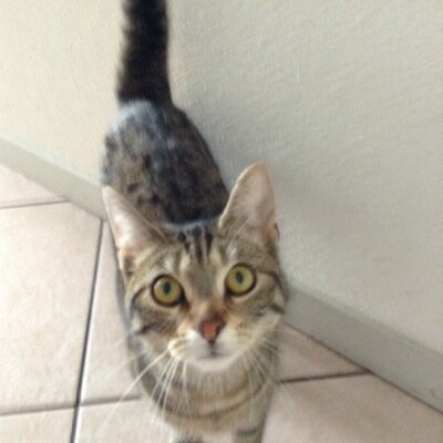 idakonijn's profile picture. Heyy mensjes ✌️❕❗️✌️