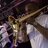 rob_buckle's profile image