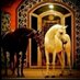 ♕ الــــنـــوفـــي ♕ (@nawaf04600) Twitter profile photo