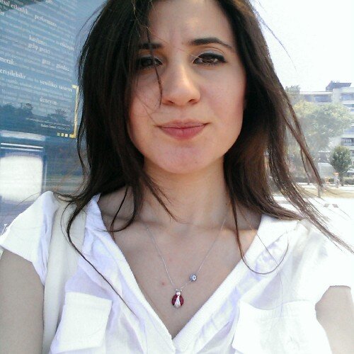 denizkaplan6's profile picture. 