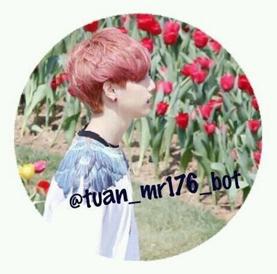 tuan_mr176_bot Profile Picture